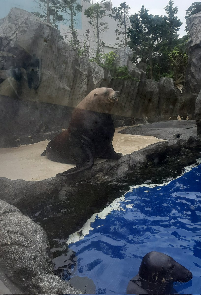 いつもありがとう… 