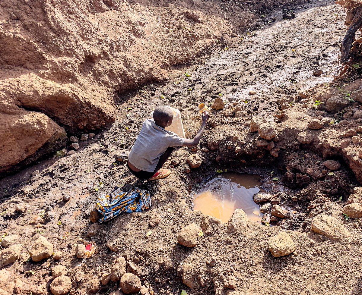 WWF-Kenya tweet media