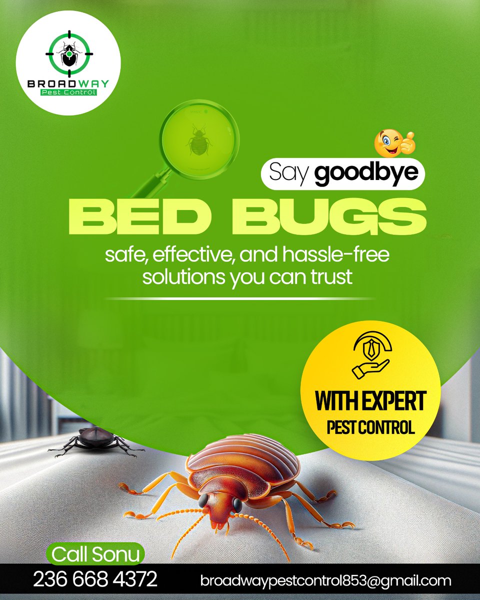 BroadPest93579's tweet image. At Broadway Pest Control, we know how frustrating and uncomfortable bed bugs can be — and we’re here to help you say goodbye to them for good! 🪲✨

☎+1 236-668-4372
🌐 broadwaypestcontrol.ca

#broadwaypestcontrol #pestcontrolservices #bedbugremoval #pestfreehome
