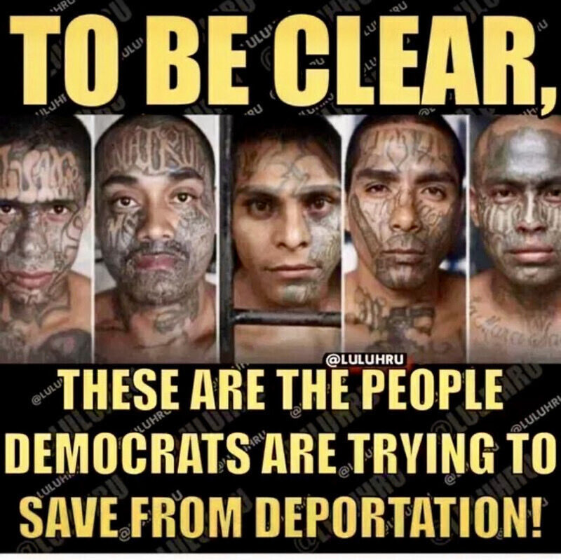 SparksN123 tweet media