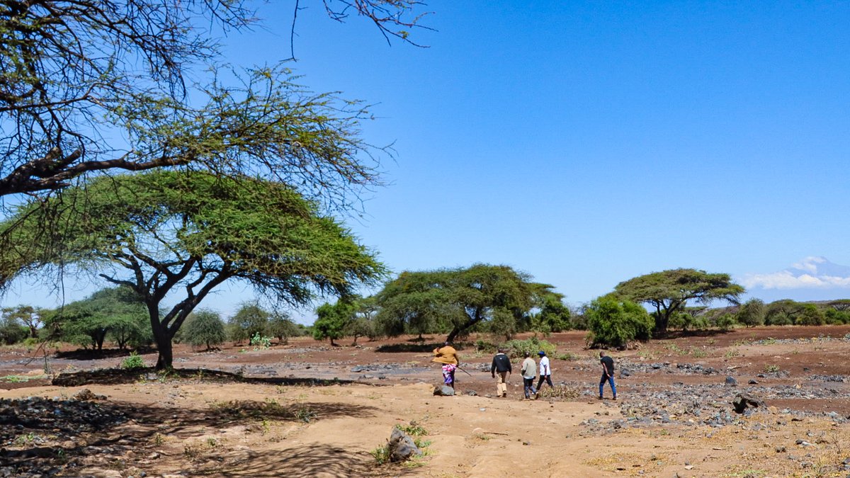 WWF-Kenya tweet media