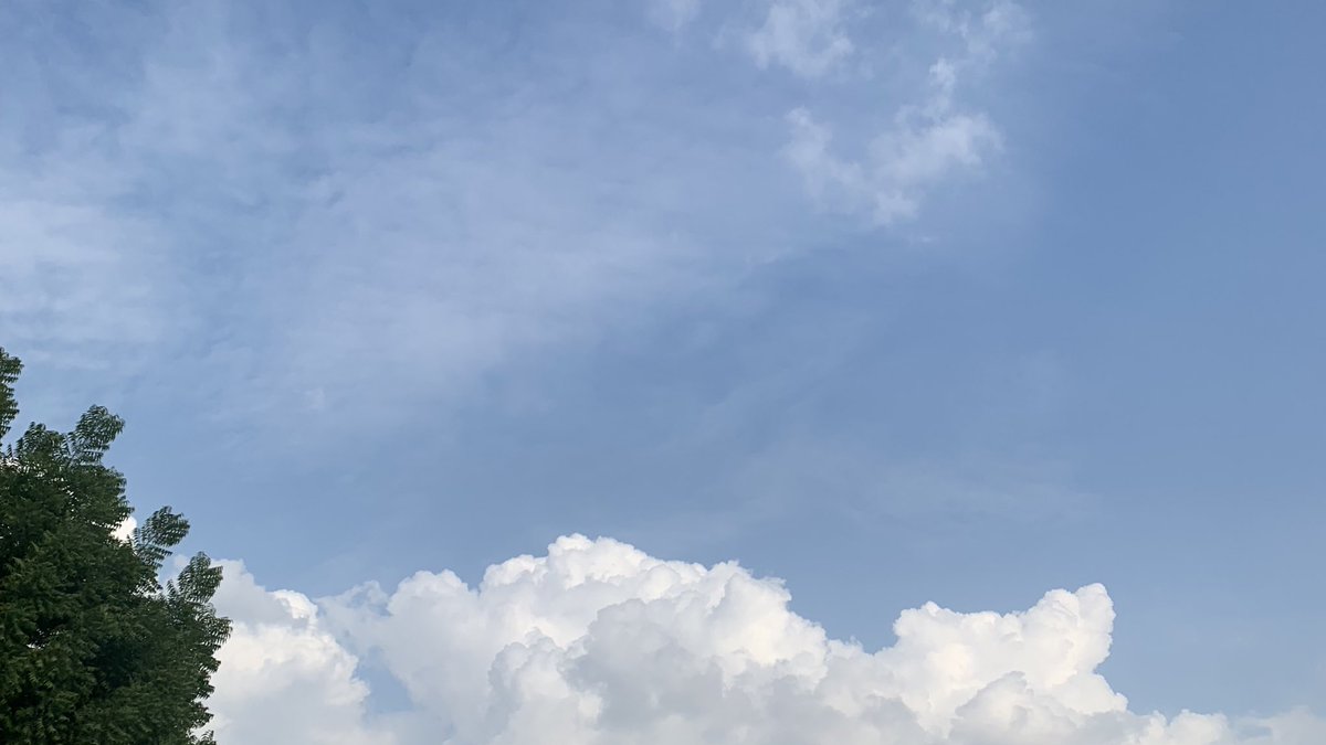 الغيوم مب مجرد ظاهرة جوية عابرة، هي نظم بيئية حية تحمل بين طياتها ملايين الميكروبات الي تنتقل من التربة، والبحار، والمدن عبر القارات كأنها سفن شحن طبيعية تخفي ركابها بدقة.

هذه الكائنات الدقيقة قادرة على البقاء في الغيوم، وتؤثر على الطقس من خلال تحفيز هطول المطر والثلج، وتلعب دور