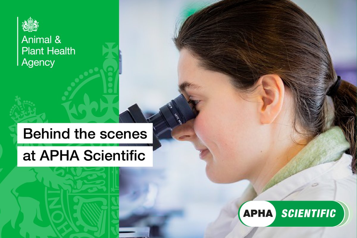 APHAgovuk's tweet image. APHA Scientific brings vital UK science to the world, supporting animal and plant health through diagnostics, reagents, and expert services. Explore what we do on our new website: aphascience.blog.gov.uk/2025/07/15/aph…
#APHAscience