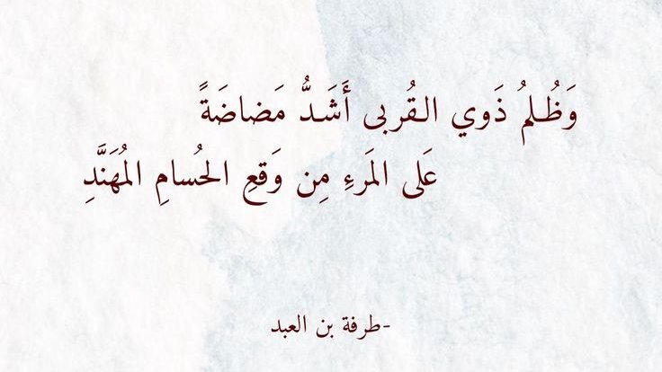 بيت شعر عربي كل يوم (@arabicpoet0) on Twitter photo 