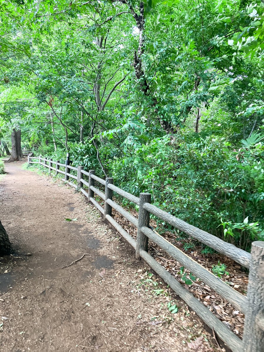 今日は出演作品の上映会に行ってきました💓
改めて編集後の映像を拝見すると、ここを使ってくれたんだ〜とか私の工夫に気付いてくれたんだ！と、たくさんの発見があって楽しかったです😆✨
映像作品もいっぱいやりたいのでお気軽にお声掛けください！