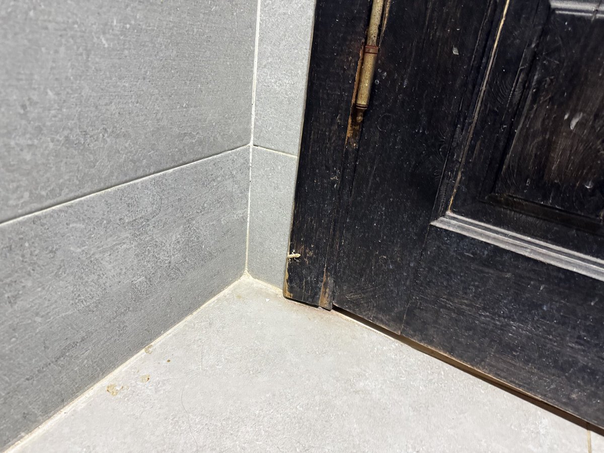 mamoniem tweet media