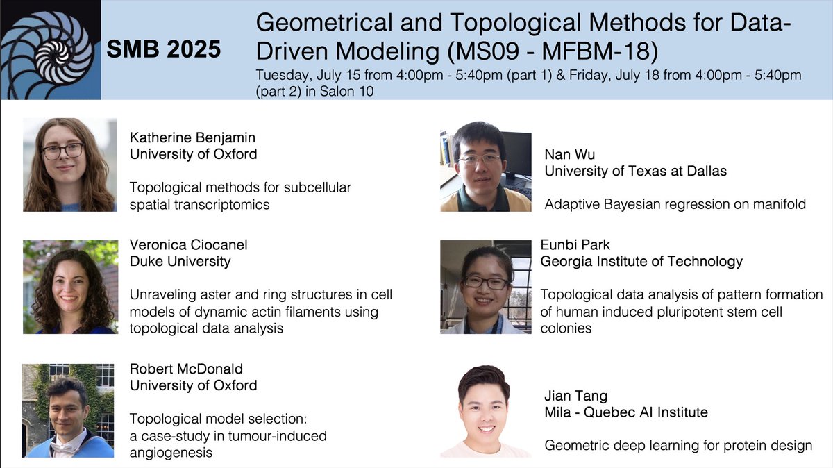 StolzBernadette's tweet image. If you’re at #SMB25 and curious to learn about novel geometrical and topological techniques for data-driven modeling, don’t miss our minisymposium (co-organised with @dbhaskar92)!
Speakers:
@kfbenjamin
Veronica Ciocanel
Robert McDonald
Nan Wu
Eunbi Park
@tangjianpku