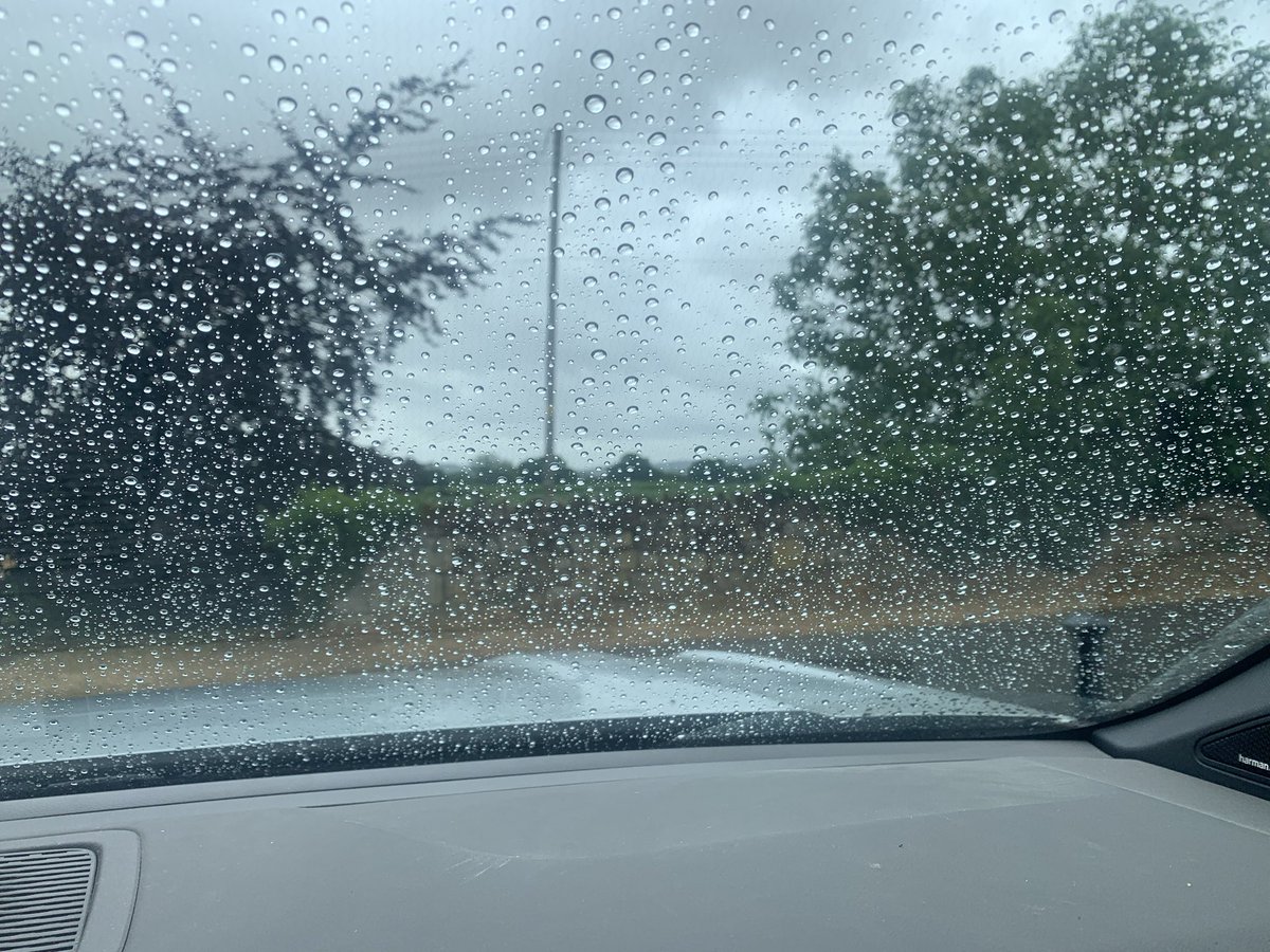 A welcome sight on Saint Swithin’s Day!