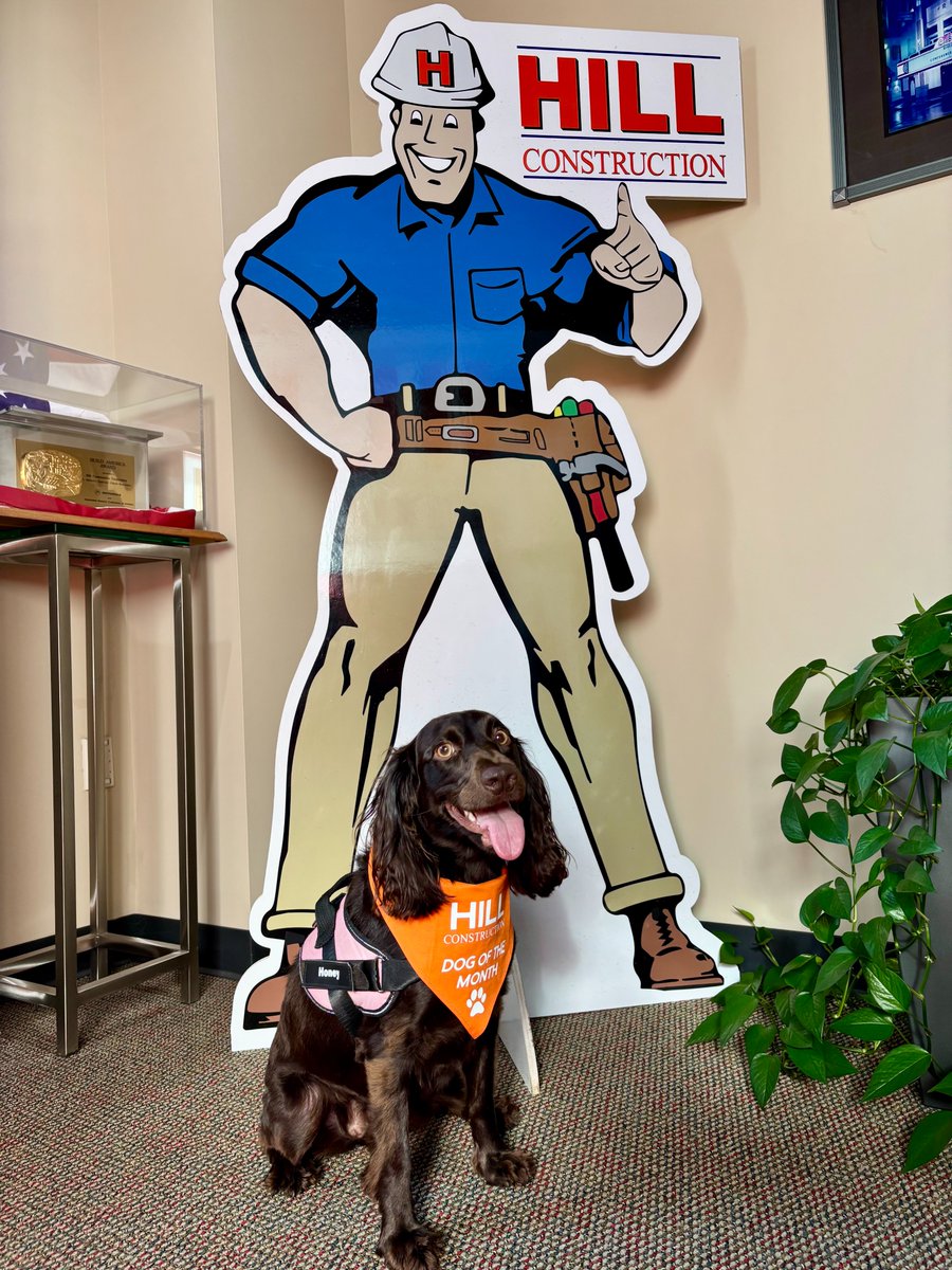 HillCon's tweet photo. We’re excited to continue our #HillDogoftheMonth series—our fun, feel-good tradition that brings an extra dose of joy to our office. This month, we welcomed Honey to the team. Her calm presence &amp; contagious enthusiasm made a lasting impression during her visit. https://t.co/MLQcNXqZP1