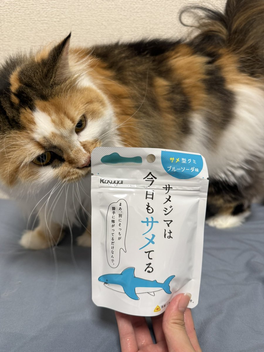 今年も大好きなグミが復活していたので早々に手に入れました。🦈

いっぱい食べるどーーー！！🦈🦈🦈