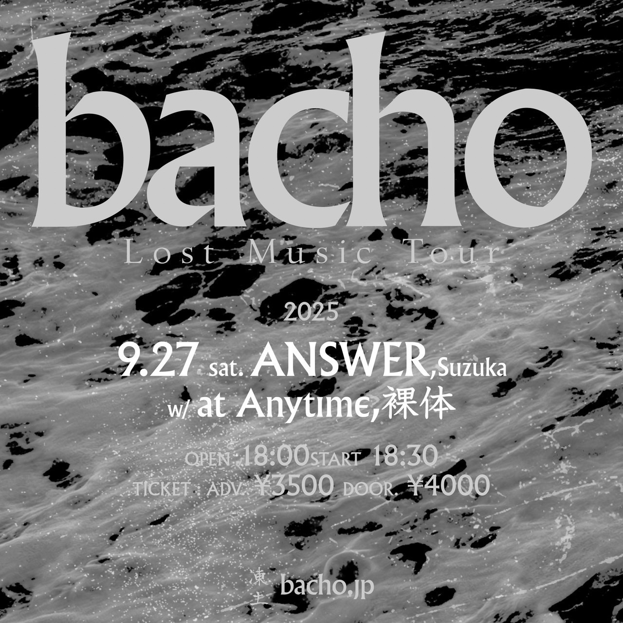 bacho - Search / X