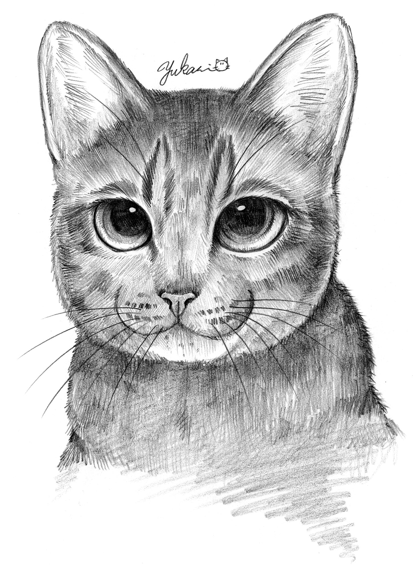 YUKARI 猫イラスト Yukari on X: 