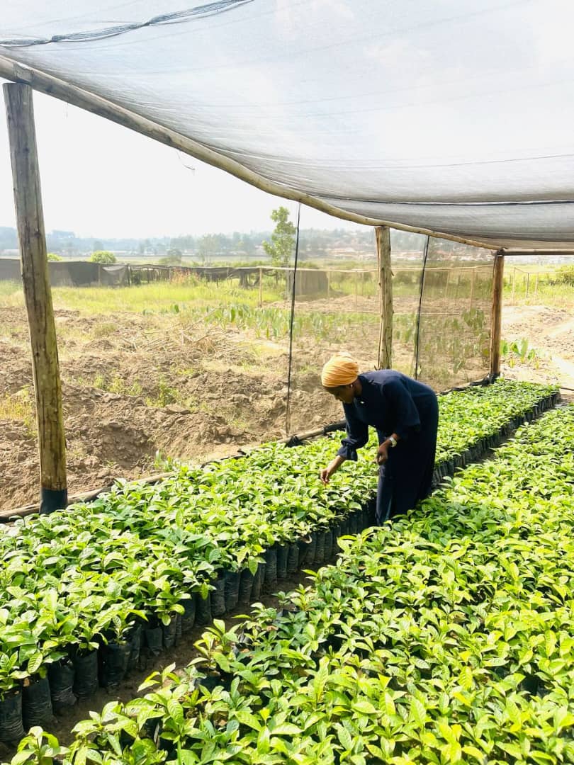 Farming Is The Business tweet media