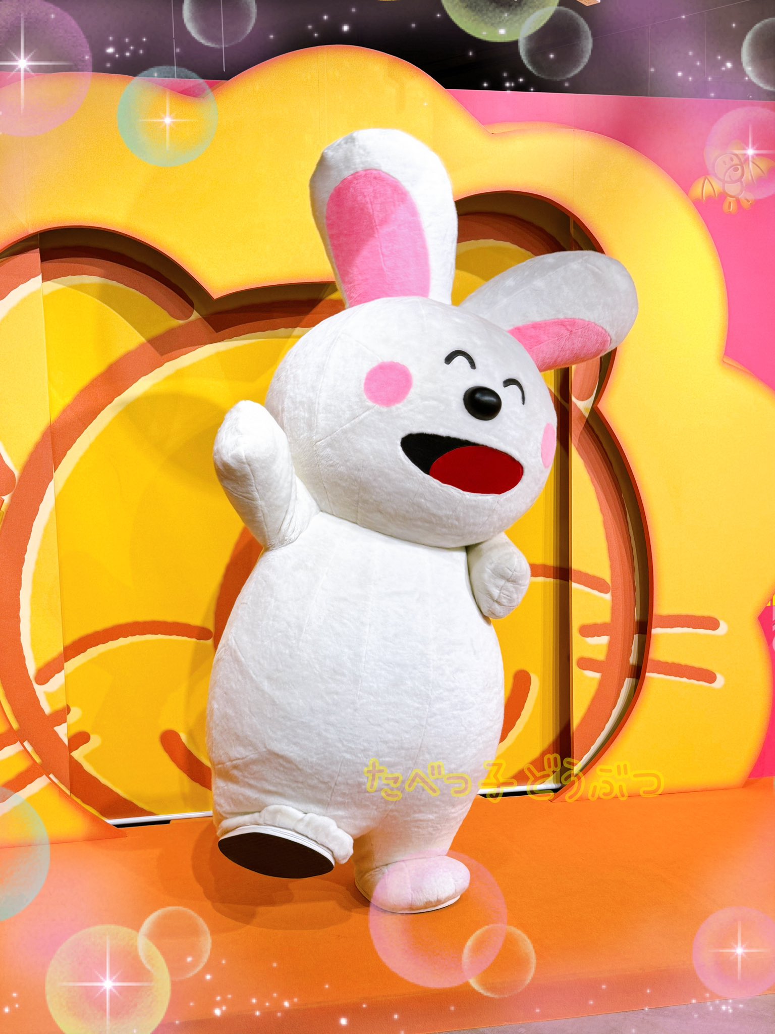 【たぬうさぎ様】HPボード ７枚まとめ売り 頓知気さきな】乳出しうさぎ 5個SET【VAG SERIES29】 | 大怪店