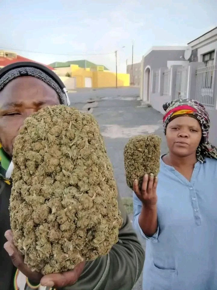 ❤🔥☘💚🇿🇦EMAMPONDWENI 🔥☘💚