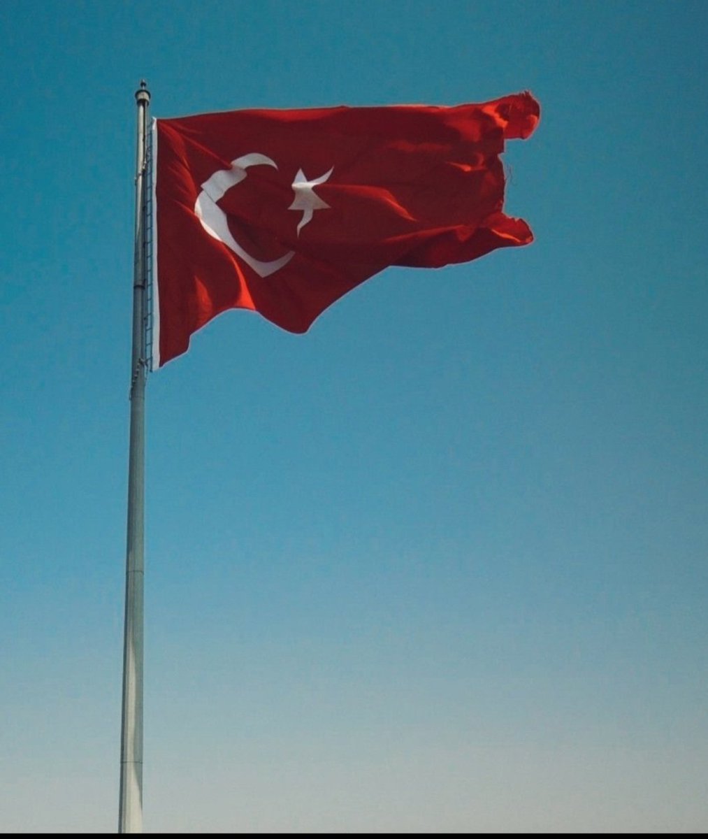 Kenan Baştuğ tweet media