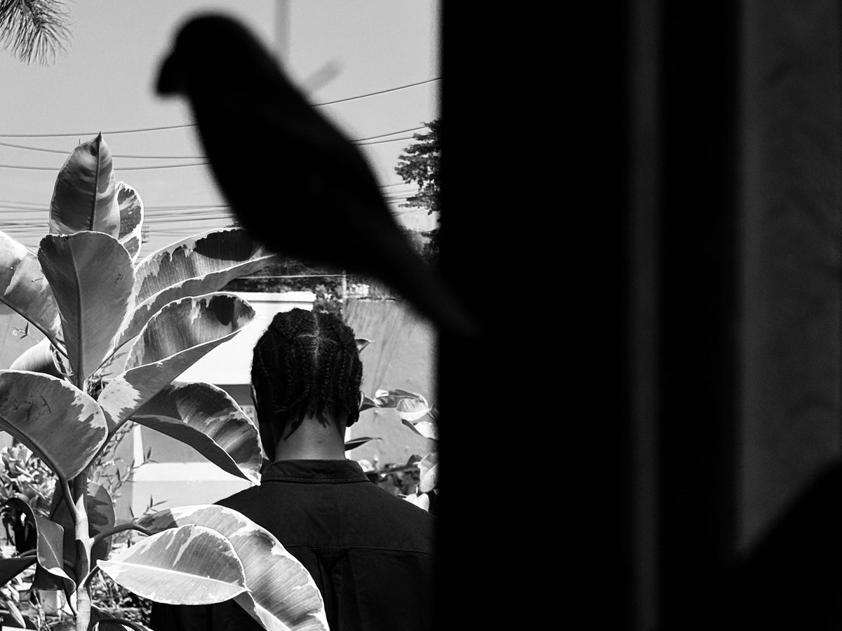 My 3rd easiest Muse <a href="/__mmpd__/">MMPD</a> 

I love and enjoy photographing this dude Darius. 
He didn’t know I was shooting.