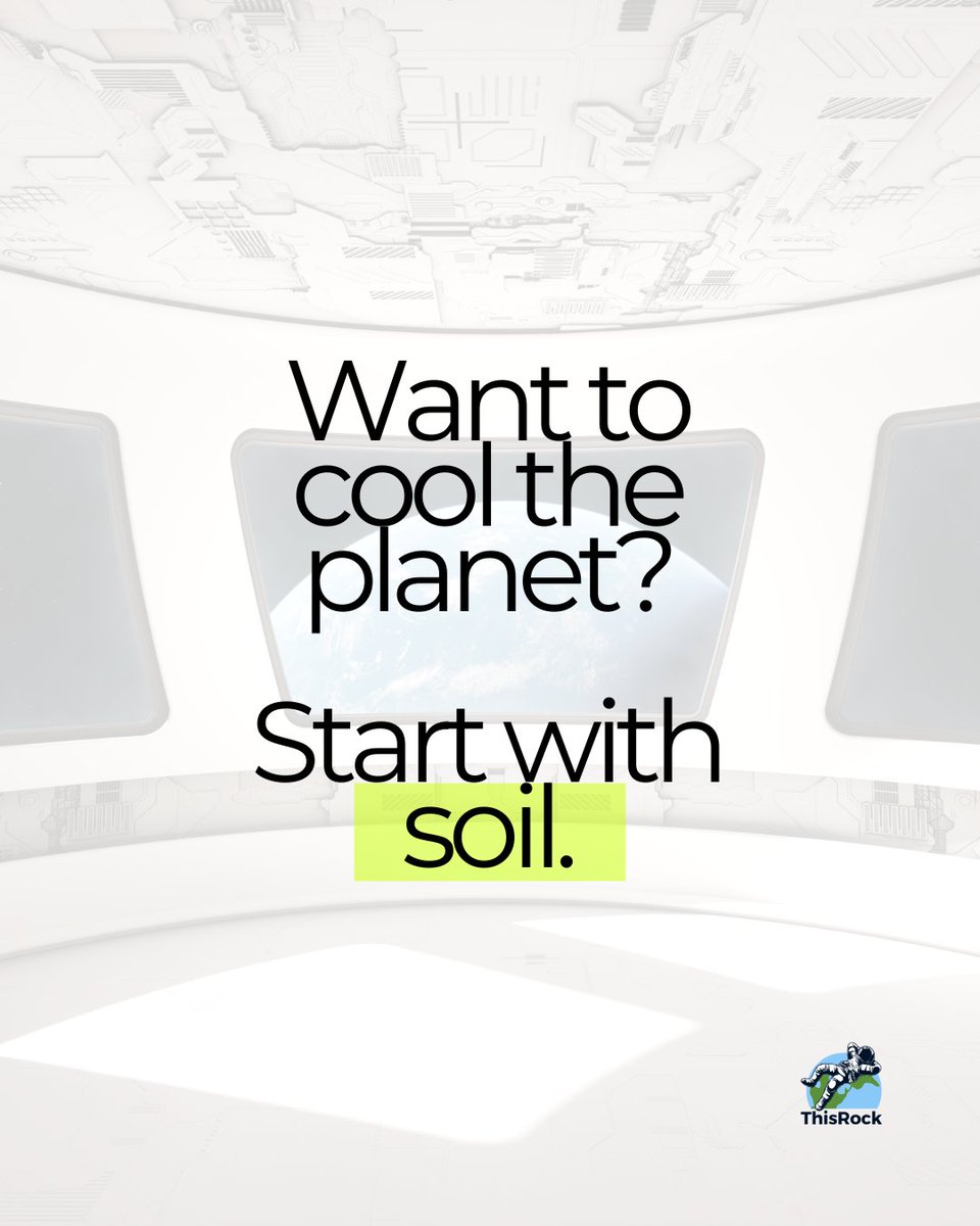 Healthy soil can store more carbon than all plants and the atmosphere combined. But industrial farming has stripped that superpower. It’s a walk, then run scenario but many organizations are starting to do the right thing. Regenerative agriculture is gaining ground (literally).