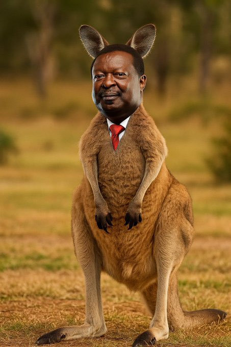 Kangaroo Muvedeki