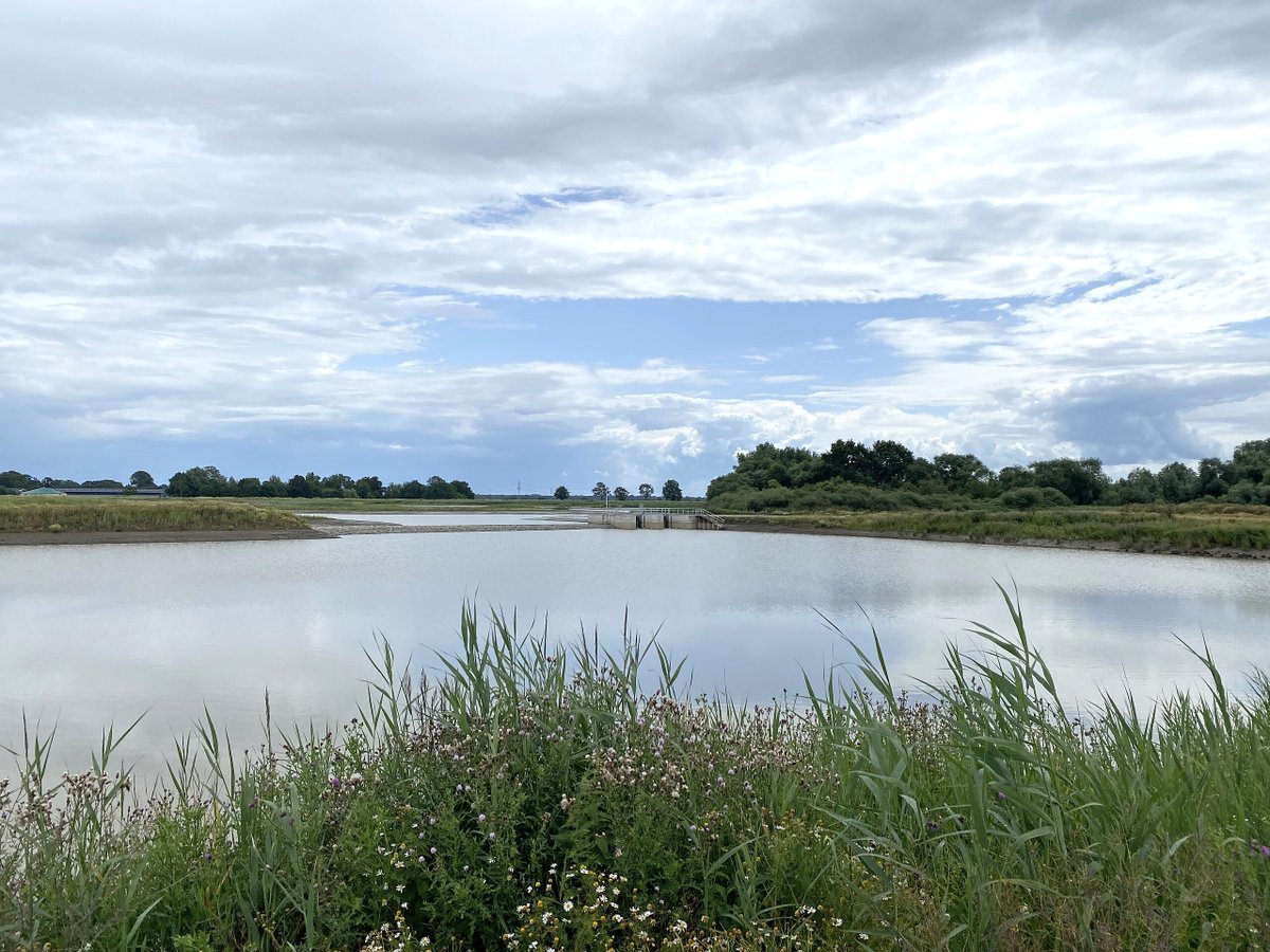 DBU (@umweltstiftung) on Twitter photo An der Unterems entsteht mit dem neuen Tidepolder Coldemüntje auf 35 Hektar wieder Lebensraum für bedrohte Arten – geplant im #DBUProjekt mit dem <a href="/WWF_Deutschland/">WWF Deutschland</a>. Ein Meilenstein im Masterplan Ems 2050. Mehr dazu lest ihr hier: dbu.de/news/renaturie… An der Unterems entsteht mit dem neuen Tidepolder Coldemüntje auf 35 Hektar wieder Lebensraum für bedrohte Arten – geplant im #DBUProjekt mit dem <a href="/WWF_Deutschland/">WWF Deutschland</a>. Ein Meilenstein im Masterplan Ems 2050. Mehr dazu lest ihr hier: dbu.de/news/renaturie…