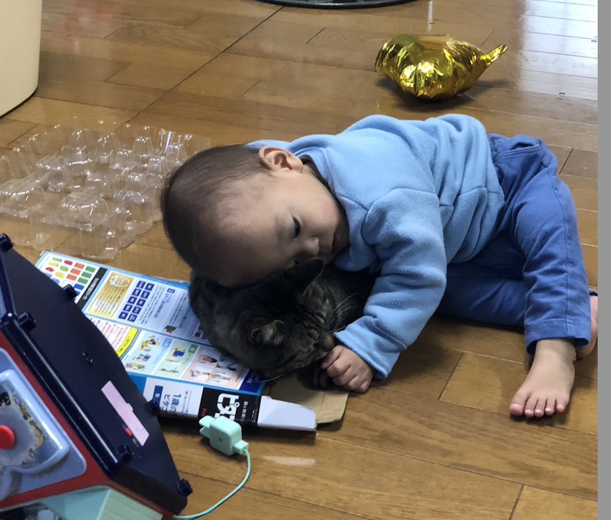 UEMAJOHNAN's tweet image. 「終末期医療について」
現場で私が実際に経験したケースをご紹介します。(年齢や詳細は一部変えて記載します)…