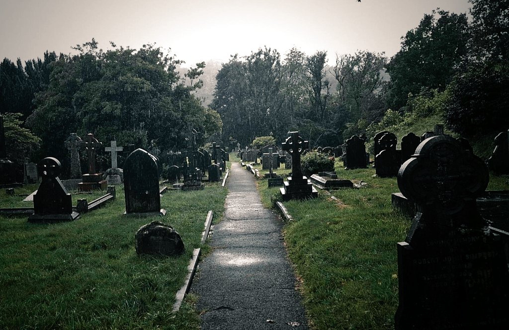 CrabbeToby's tweet image. Rain in the Graveyard 🪦🌧💚