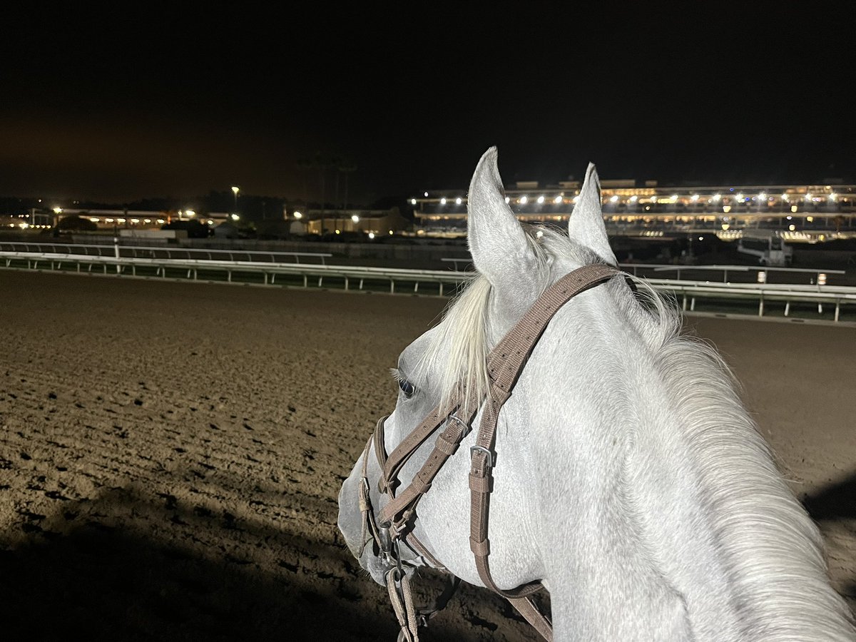 Impossible Task opened the main track <a href="/DelMarRacing/">Del Mar Racetrack</a> this morning. Let everybody have a safe and successful 2025 meet !! 🏝️🏄‍♂️🏇🏾