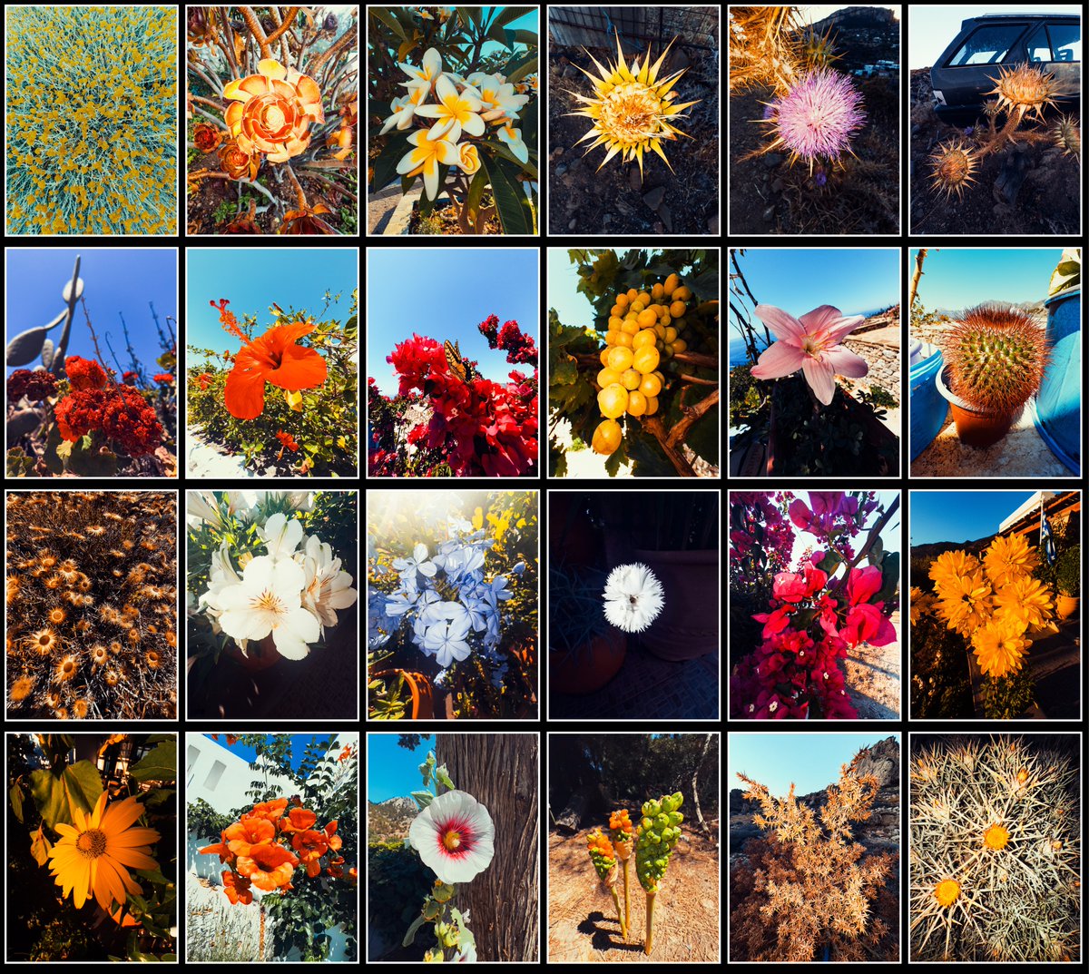 wojototo's tweet image. I took @notboring !Camera for a spin on holiday in Greece. Pushed exposure with flash on wide-angle lens and full sunny day. This app brings joy back to iPhone photography. Tactile, slower, considerate!
Lovely app