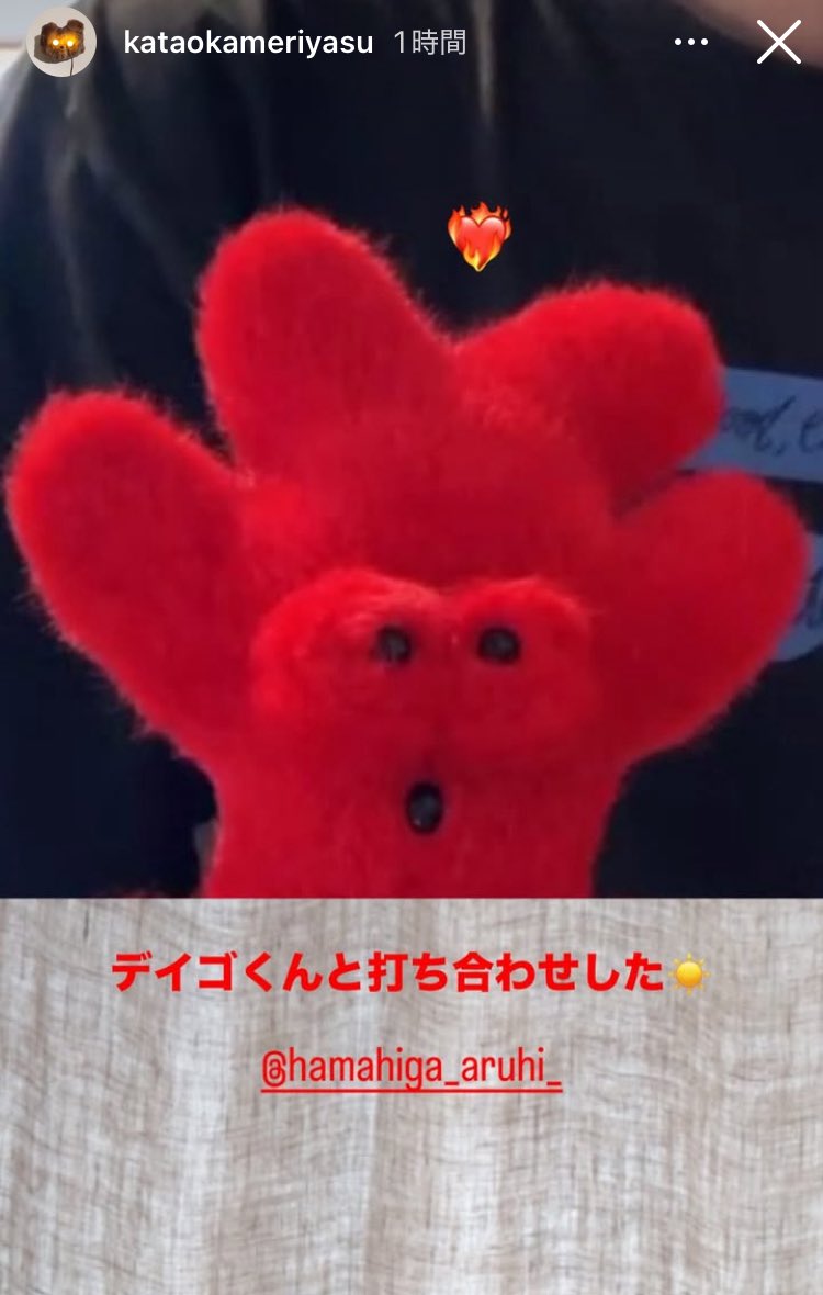 サニーから年始に刊行した片岡メリヤスさんとの『極私的OKINAWAのカタチ』からはや半年ほど。

偶然が重なり、流れのままに新しいプロジェクトも進み出しました◯ ご存知？天才的デイゴくんも交えて打ち合わせ。

ゆっくりですが進めていきます〜〜💪

sunnyboybooks.net/items/6784a684…