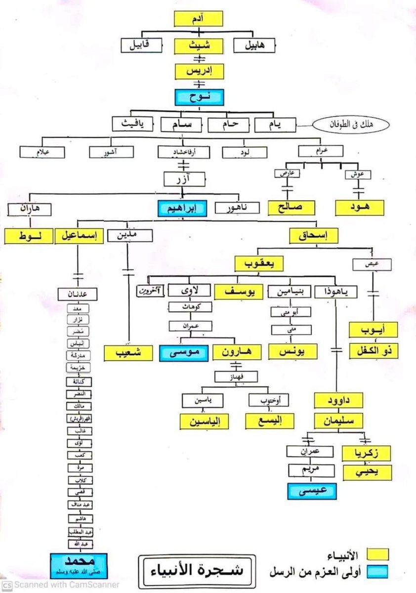 aslmuy's tweet image. شجرة الأنبياء .