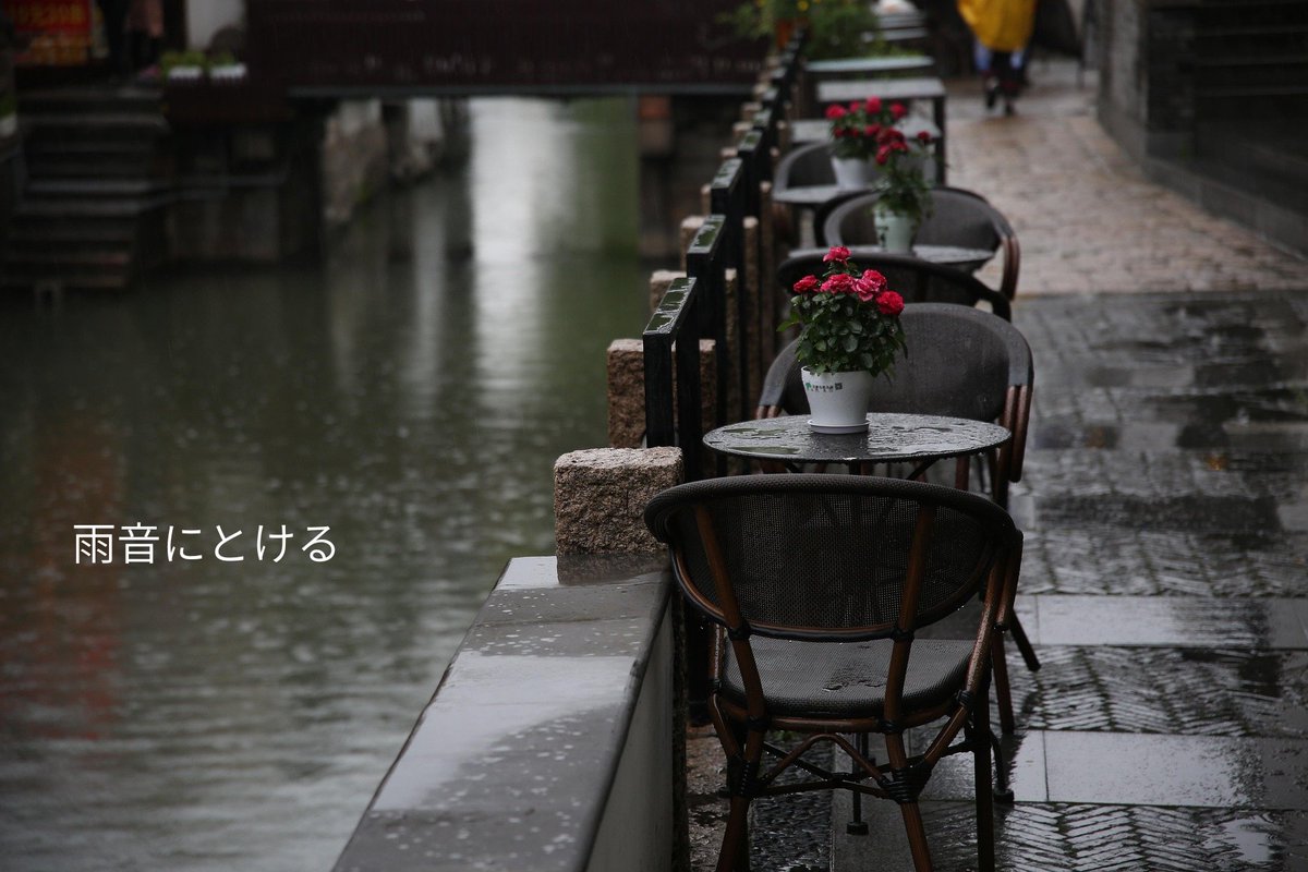 daily_toolbox's tweet image. 雨粒が静かに揺れている。
窓の向こうは、うす曇りの夕暮れ。
傘のしずくが屋根を打つ音に
一日の疲れが少しずつほどけていく。

#暮らしの余白 #雨と暮らす #静かな時間