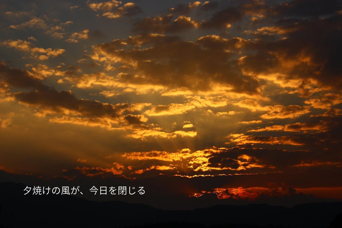 daily_toolbox's tweet image. 夕焼けが
熱をまとって
空を染めていた窓をすかして
入ってきた風に少しだけ
今日の終わりを感じた

#暮らしの余白 #夏の夕暮れ #詩とともに