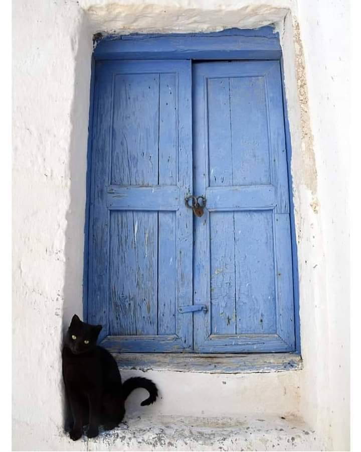 blue door