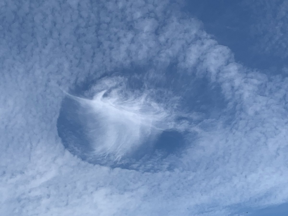 荒木健太郎 on X: 