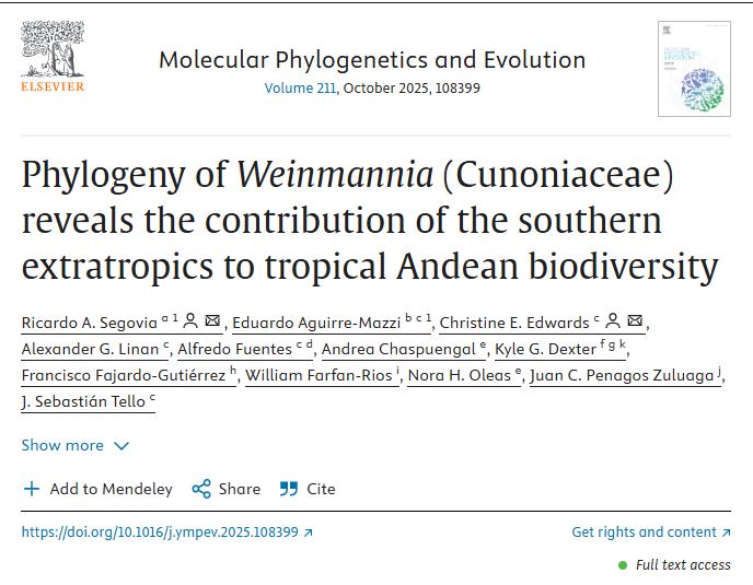 #NuevaPublicación🔍#OpenAccess🥇 
Aportamos al conocimiento de la impresionante #biodiversidad de los #Andes a través del estudio de plantas del género #Weinmannia. 
✅Nuestros análisis #genéticos muestran que estos árboles, adaptados originalmente a climas fríos, migraron desde