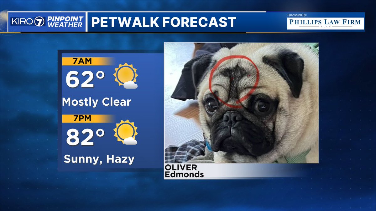 Nick Allard (@nickallardkiro7) on Twitter photo . Oliver for the win! He has a Space Needle birthmark! #NickKnows #wawx #petwalk kiro7.com/petwalk <a href="/space_needle/">Space Needle</a> . Oliver for the win! He has a Space Needle birthmark! #NickKnows #wawx #petwalk kiro7.com/petwalk <a href="/space_needle/">Space Needle</a>