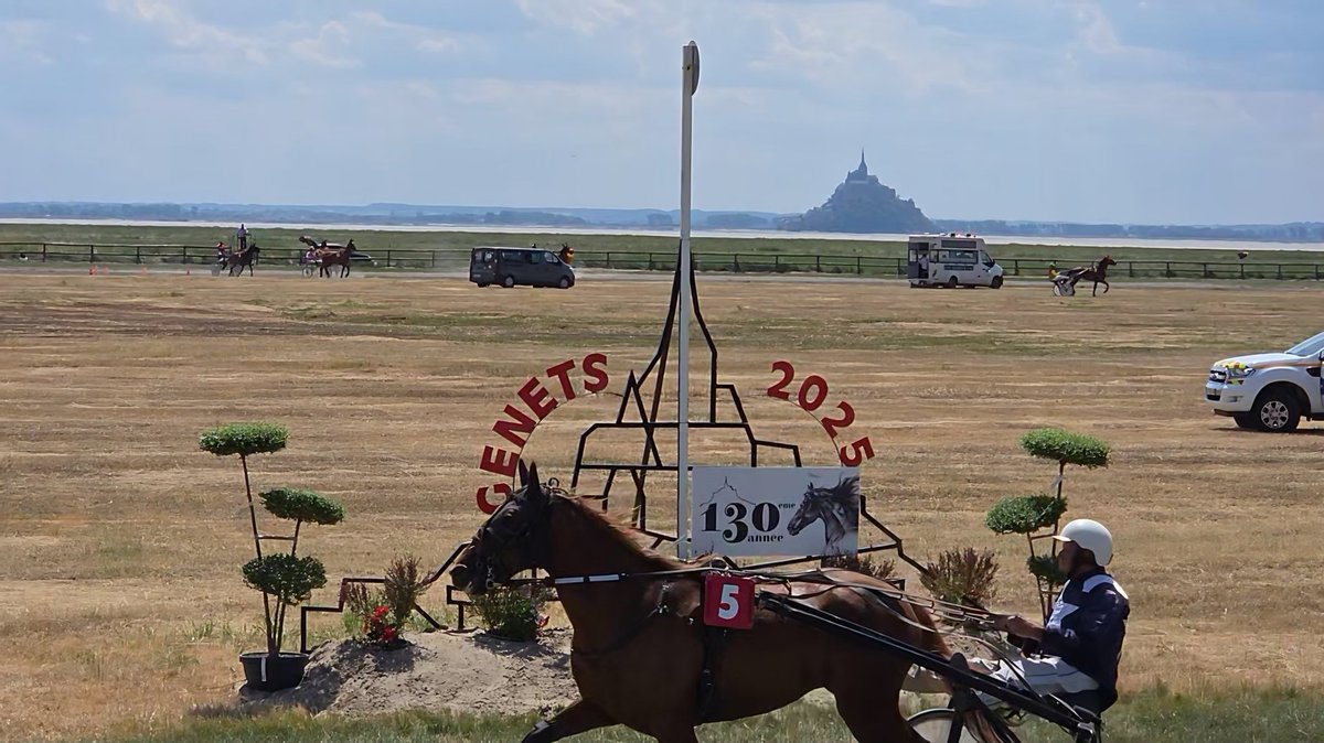Hippodrome de Genêts 13 juillet 2025 ... qui dit mieux ? 😉❤️
Magique unique splendide 😃
<a href="/pmu/">PMU</a> <a href="/LeTrot/">Trotteur Français</a>