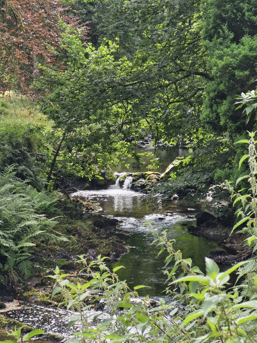 DevonHeaven17's tweet photo. Wellbeing Walks Okehampton had a lovely stroll in Simmons Park, Okehampton this morning. 
#wellbeingwalks #ramblersgb @rambleragb #ramblersgbwellbeingwalks https://t.co/nXlpF60UXi