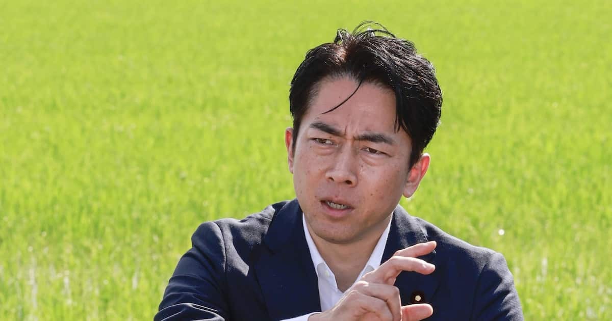 Stamen Gundam＠セカンド on X: 