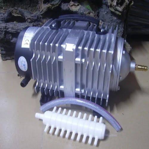 "Cuma Soldier Setitik, Tapi Nilainya 50 Ribu?"

Pompa aerator kolam lele saya tiba-tiba mati.
Mungkin dia lelah, karena hidup 24 jam nonstop.
Kayak kita juga, kalau terus-terusan dipaksa kerja, bisa tewas pelan-pelan.

Saya coba bongkar sendiri.
Buka bautnya, colok sana-sini, cek