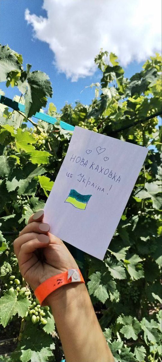 yellowribbonENG's tweet image. More and more photos from occupied territories about Ukraine's Statehood Day
