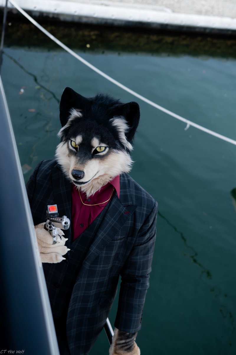 ๆฑ็(ใใใ) (@shioru9010) on Twitter photo ใใ๏ผใใฃใจ่ฆใคใใ
๐ท๏ผ<a href="/CTtheWolf/">CT the Wolfโก๏ธUTFG</a>
#fursuit
#FursuitEverday
#ๅต้ ใใชใขใใณ ใใ๏ผใใฃใจ่ฆใคใใ
๐ท๏ผ<a href="/CTtheWolf/">CT the Wolfโก๏ธUTFG</a>
#fursuit
#FursuitEverday
#ๅต้ ใใชใขใใณ
