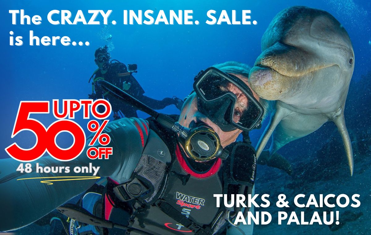 🚨 It’s ON! Explorer Ventures’ CRAZY. INSANE. SALE. is LIVE!

🛳️ 50% OFF select Turks &amp; Caicos trips
🛳️ 30% OFF select Palau trips
🗓️ Sale July 15–16 only
💳 Must pay in full same day

📞 1.800.322.3577 / info@explorerventures.com
🔗 explorerventures.com/discounts-and-…

#DiveDeals #ScubaSale