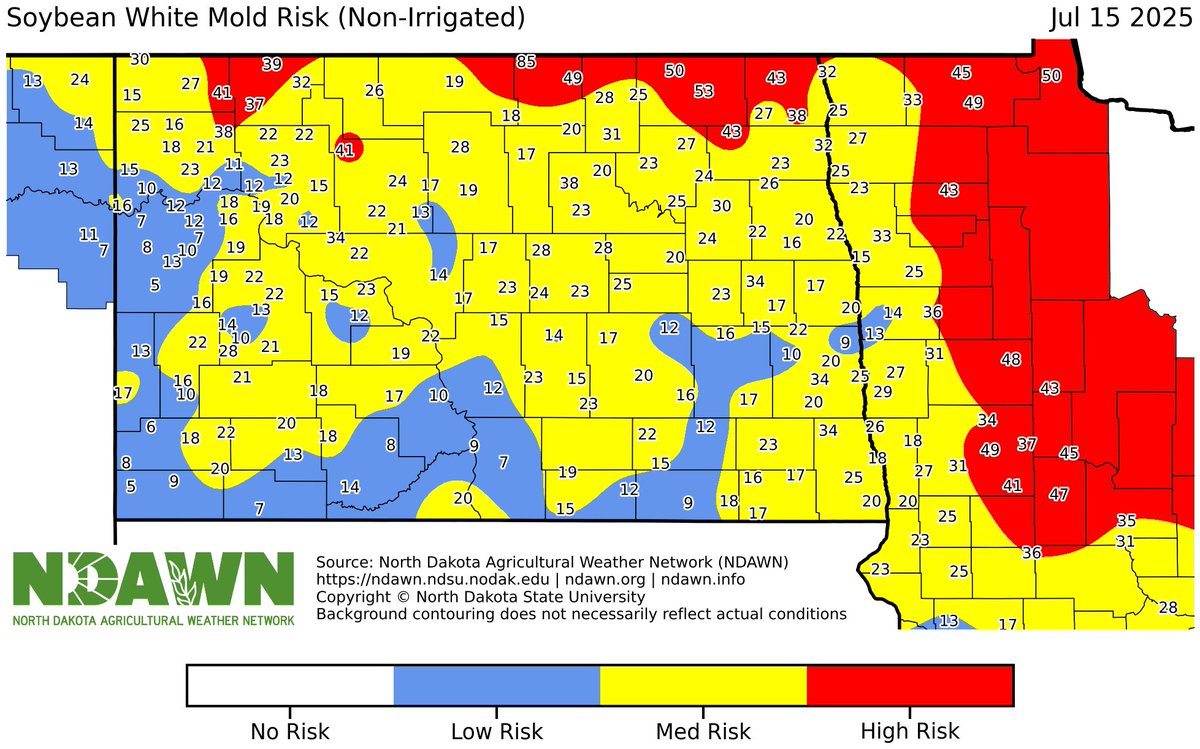 BisonBeanDoc's tweet image. Soybeans are getting to canopy closure across parts of North Dakota. However white mold risk is low to moderate across the state right now. Rain and cool temps may change that in the coming days.