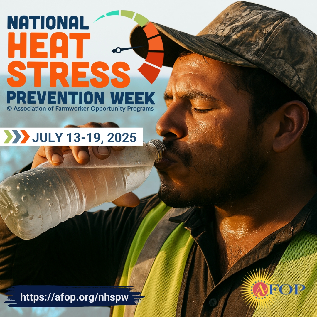 AFOPHealth&Safety tweet media