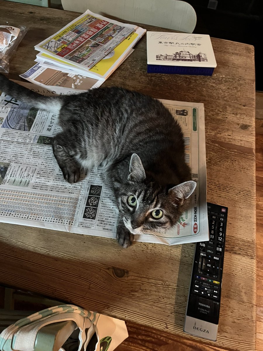 miro3663's tweet image. テーブルの上占拠された