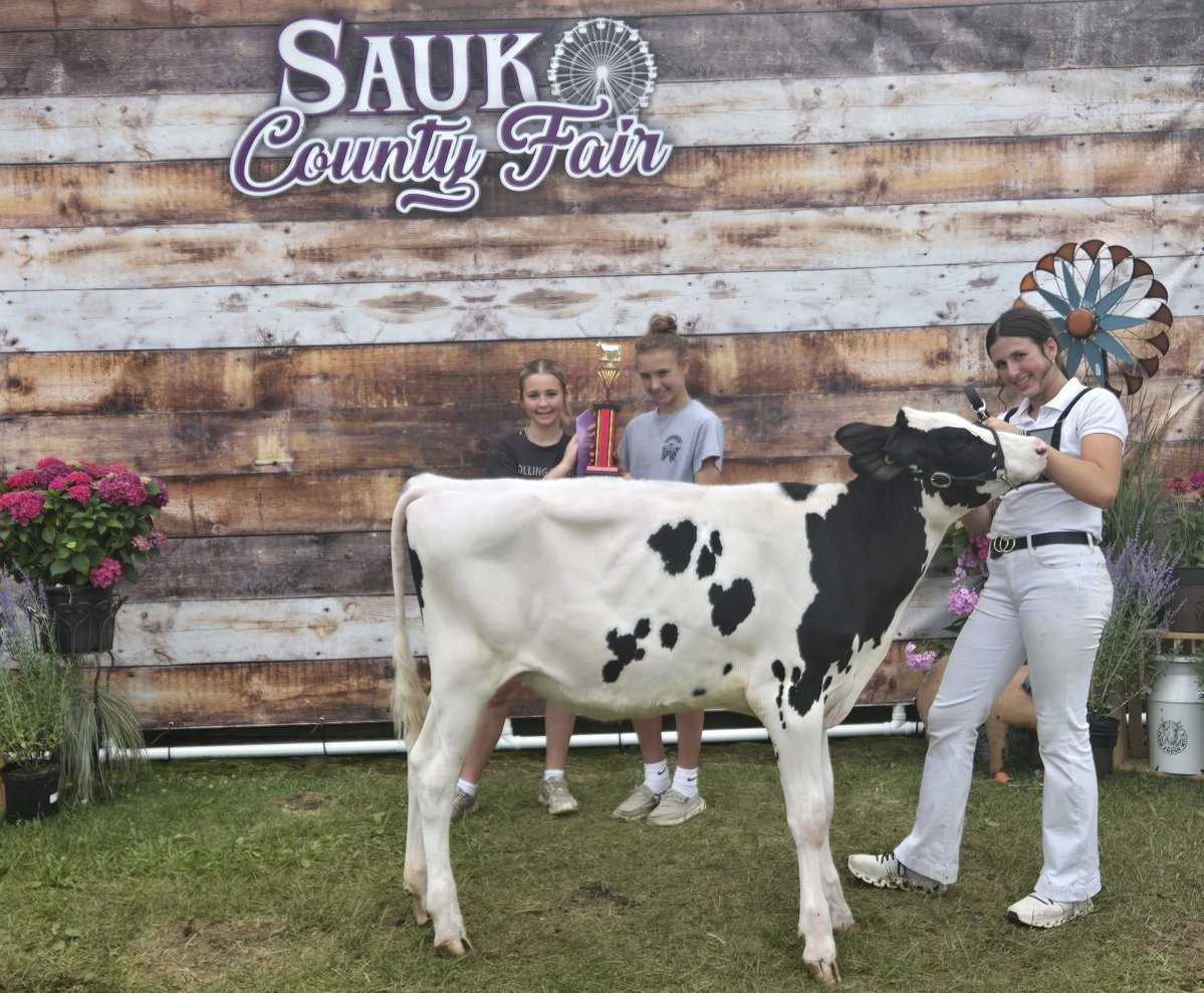 BrianJReisinger's tweet image. Another Grand Champion descending from my dad’s milk herd at the Sauk County Fair last week! It was hard to sell the cows a few years back, but I’m grateful he’s still farming, and we’re all so proud every time a new champion emerges…