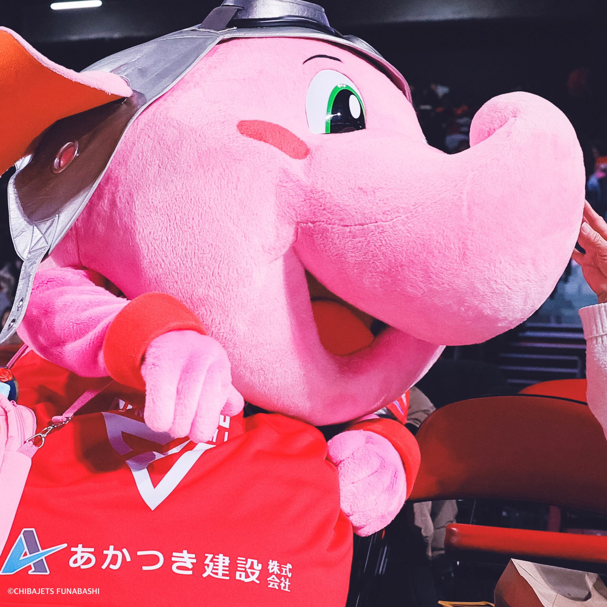 ジャンボくん（千葉ジェッツ） | 2024年初のジャンボくんの