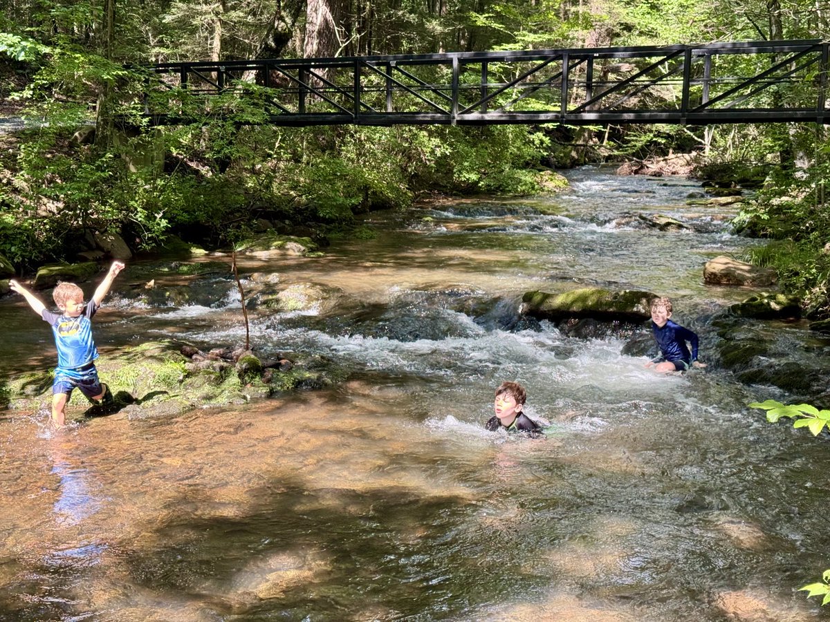 dougponder's tweet image. We headed to the mountains instead of the beach for our vacation this year. It was the right choice.