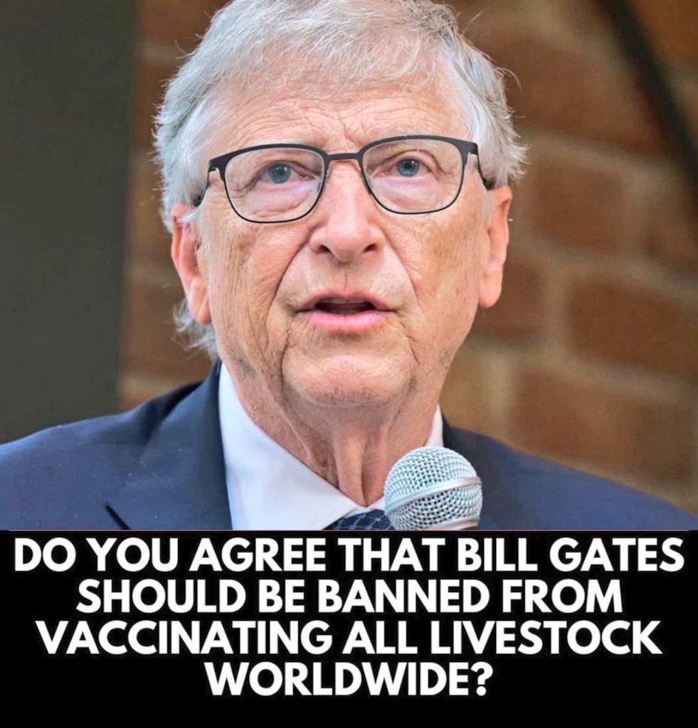 Yes or No 🙂‍↔️